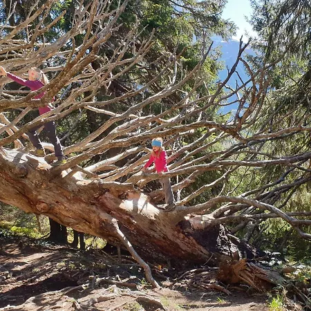 Gaestehaus Alpina * Riezlern