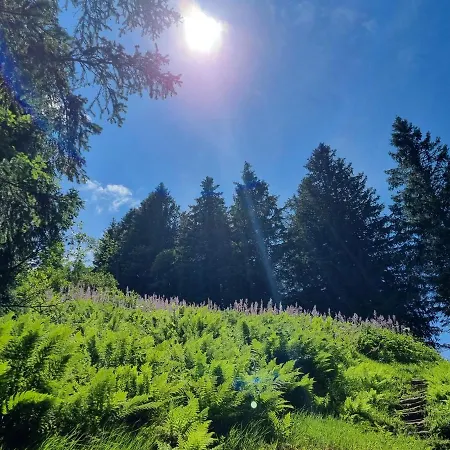 Apartmán Gaestehaus Alpina Riezlern