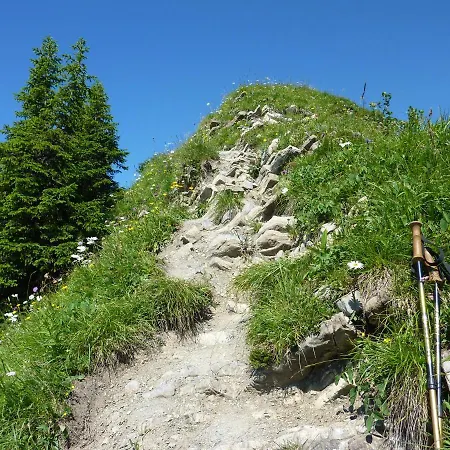 Apartamento Gaestehaus Alpina *